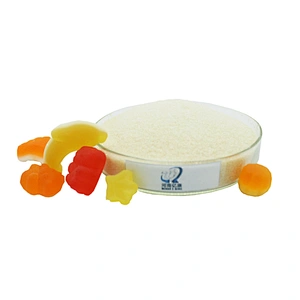 Professional Halal Bovine Gelatin Beef with Halal Certificate 120 -180 Bloom